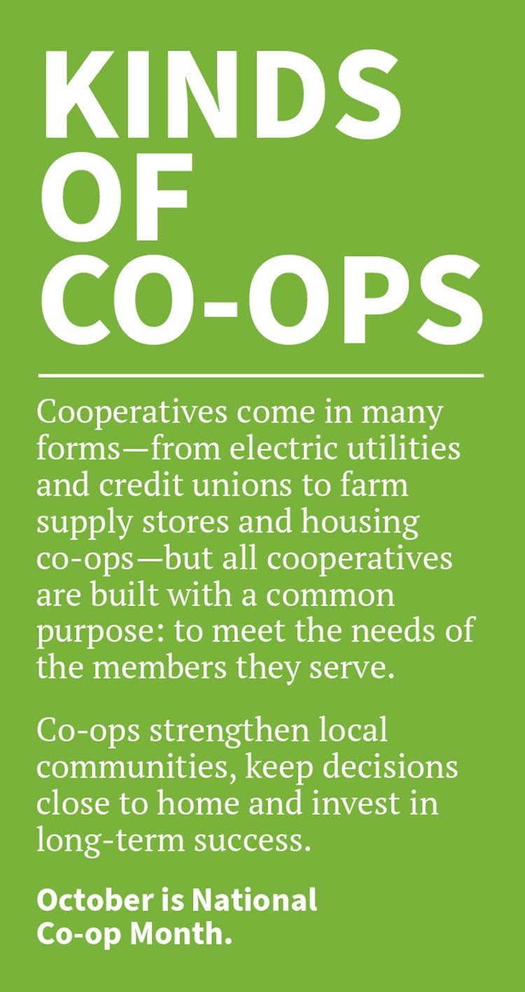 Kinds of Co-ops
