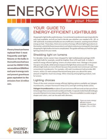 Energy Efficient Light Bulbs Image